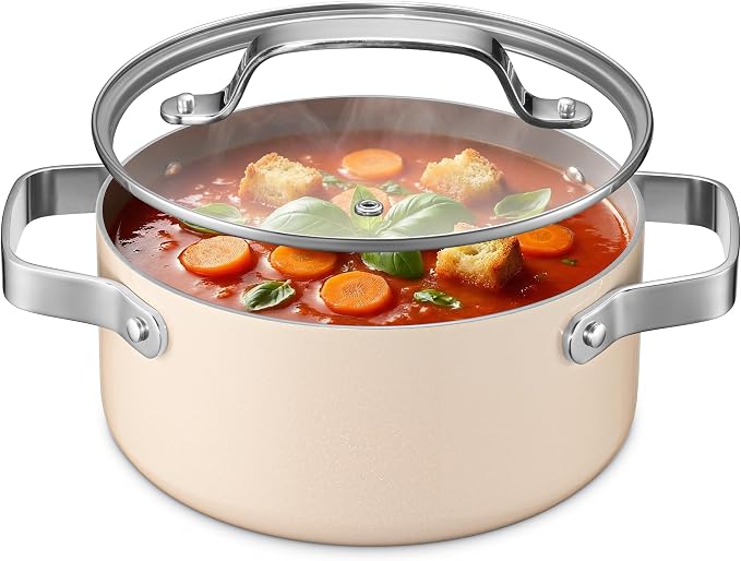 Bakken 3 Quart Ceramic Coated Stock Pot by BAKK%C3%8BNMASTER