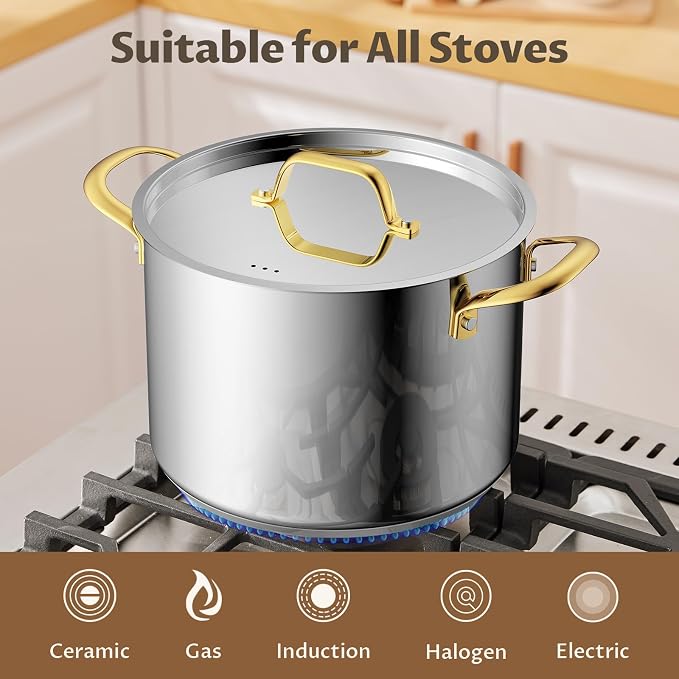 BEZIA 12 Quart Stainless Steel Stock Pot - Image 4