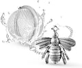 TeaSanavie Handmade Honey Bee Tea Infuser by TeaSanavie