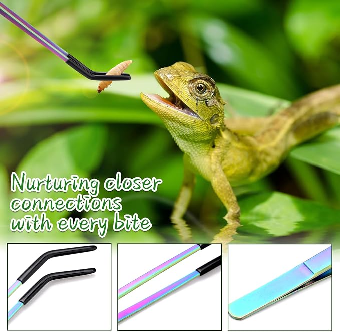 2PCS Stainless Steel Reptile Feeding Tongs - Image 6