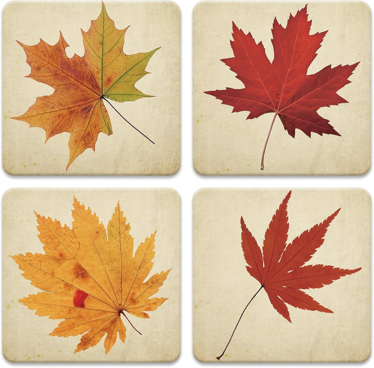 FYSUIMU 4 Pcs Fall Leaves Coasters Autumn Maple Leaf Square Ceramic