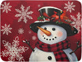 Christmas Snowman Dish Drying Mat by Aytipun