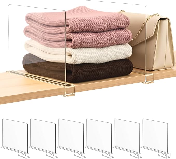 SortNStore Shelf Dividers Purse Organizer by SortNStore