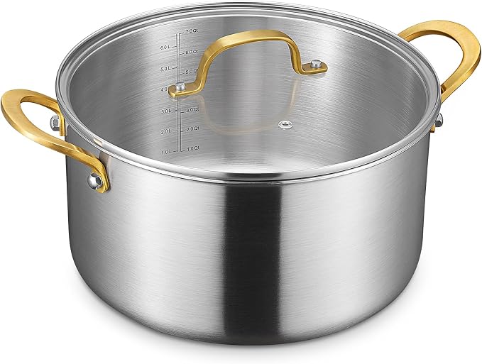 BEZIA 8 Quart 3-Ply Stainless Steel Stockpot, Soup Pot by BEZIA