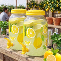 Havawish 2 Pcs 1 Gallon Plastic Beverage Dispenser by Havawish