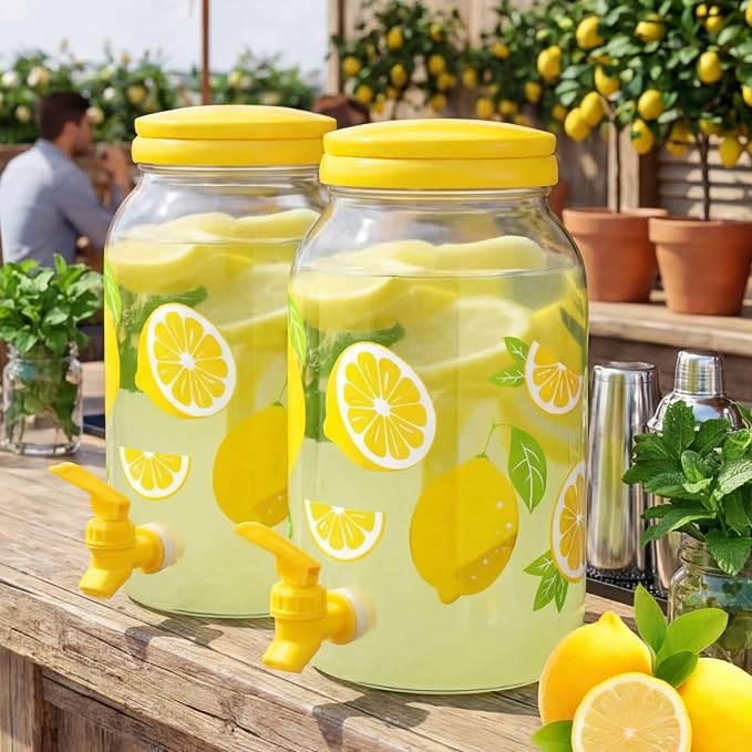 Havawish 2 Pcs 1 Gallon Plastic Beverage Dispenser by Havawish