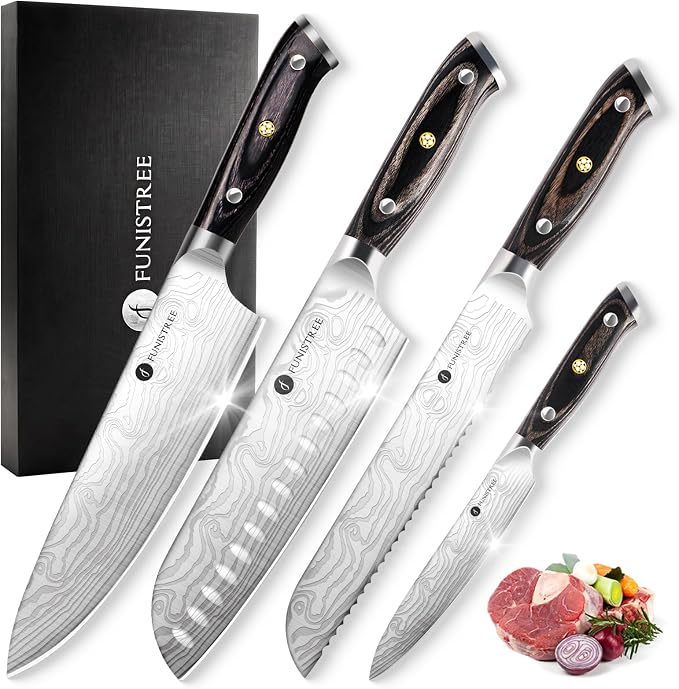4 Pieces Professional Kitchen Knife Set, Damascus German Stainless Steel Chef by Funistree