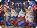 4th of July Drying Mat for Kitchen Counter 18 X 24 in Patriotic Printed Dish by Giwawa