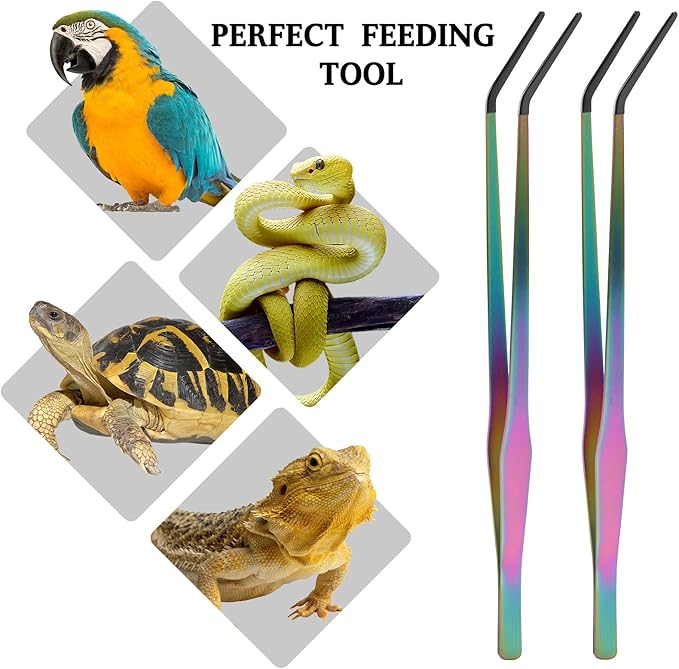 OLIISS Reptile Feeding Tongs - Image 4