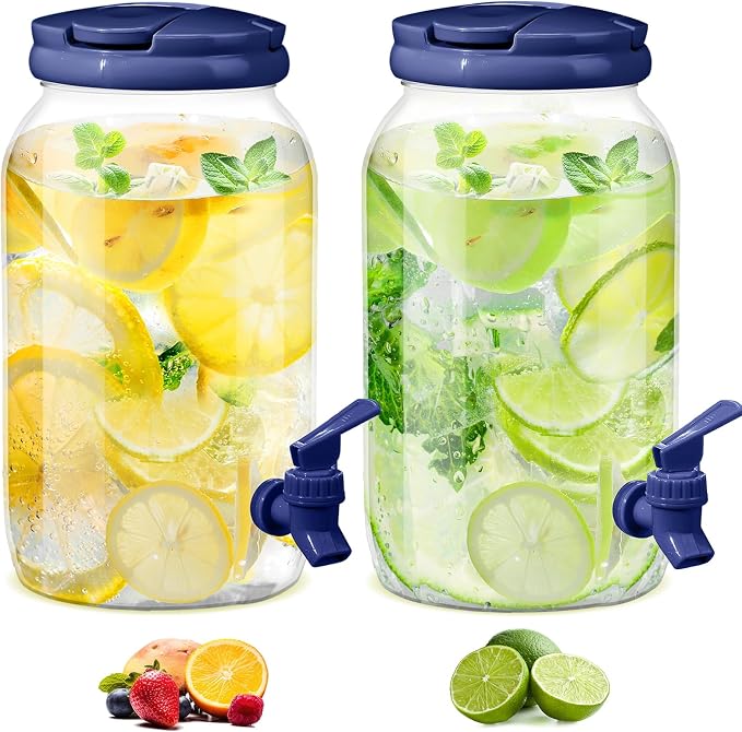 Havawish 2 Pcs 1 Gallon Plastic Beverage Dispenser by Havawish