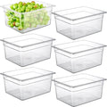 CURTA 6-Pack 1/2 Size 6" Deep NSF Polycarbonate Food Pans | Dishwasher & by CURTA