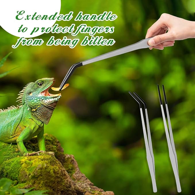 Lasnten 2 Pcs Extra Long Stainless Steel Reptile Feeding Tongs - Image 3
