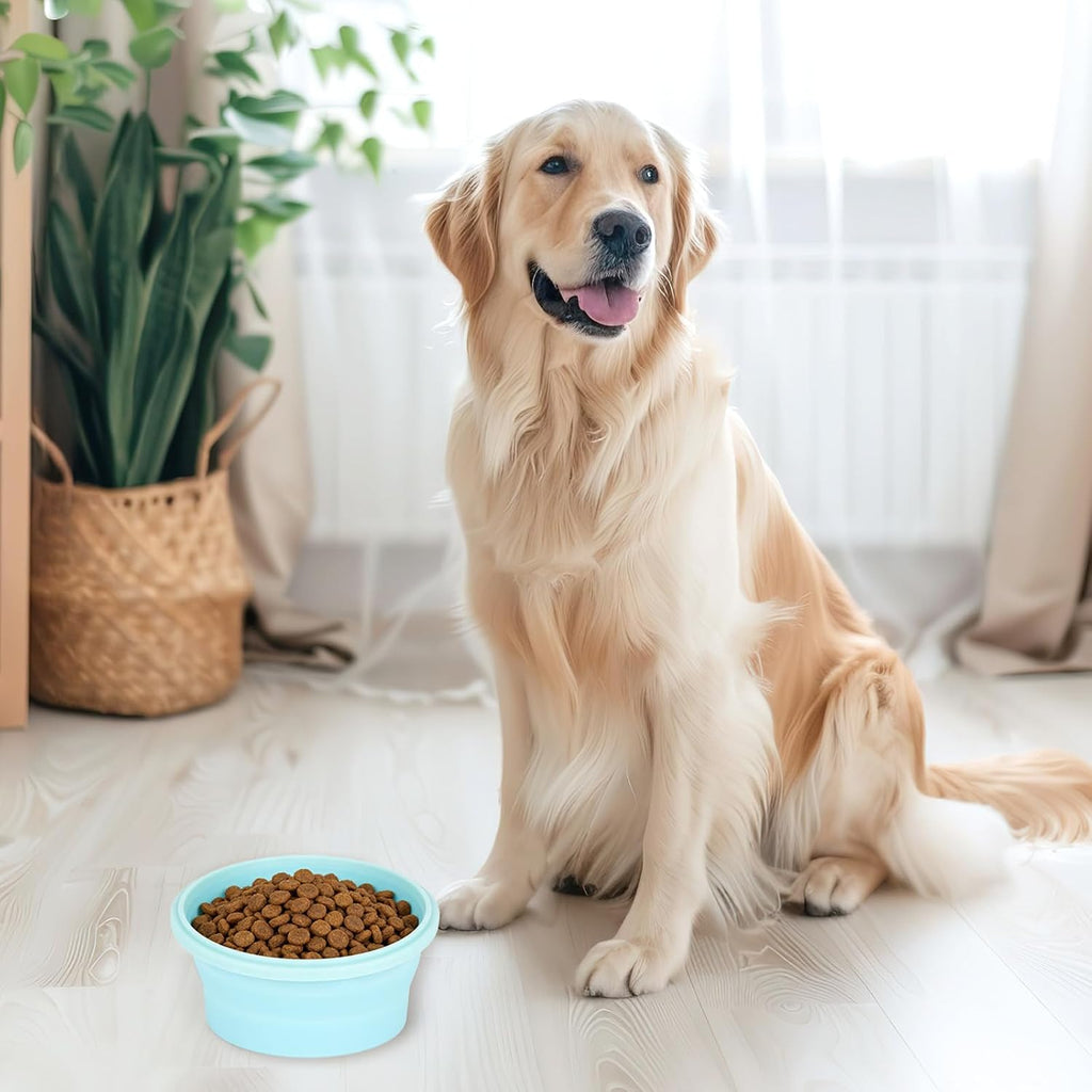 2pcs Collapsible Dog Bowls, Silicone Food & Water Travel Bowl with Lid
