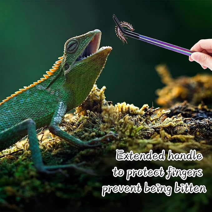 2PCS Stainless Steel Reptile Feeding Tongs - Image 5