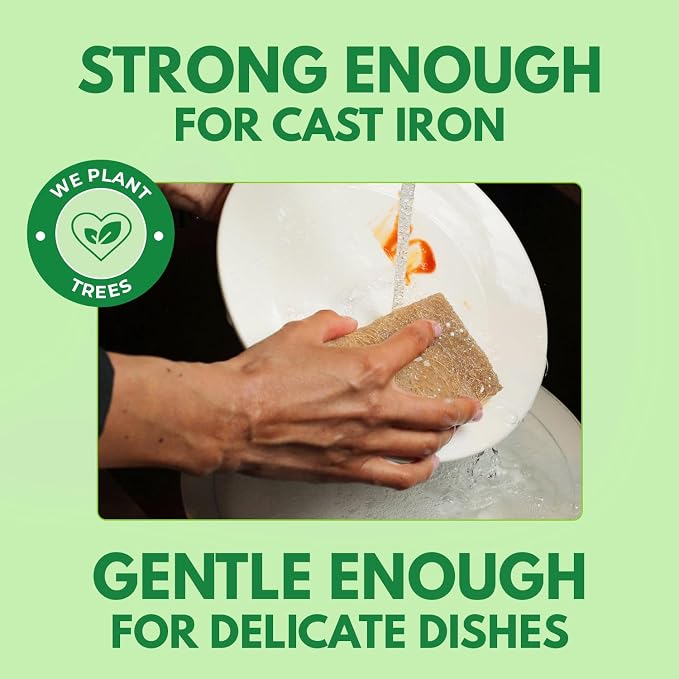 AIRNEX Biodegradable Natural Kitchen Sponges Pack of 6 - Image 3