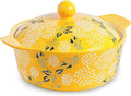 Casserole Dish With Lid by wisenvoy