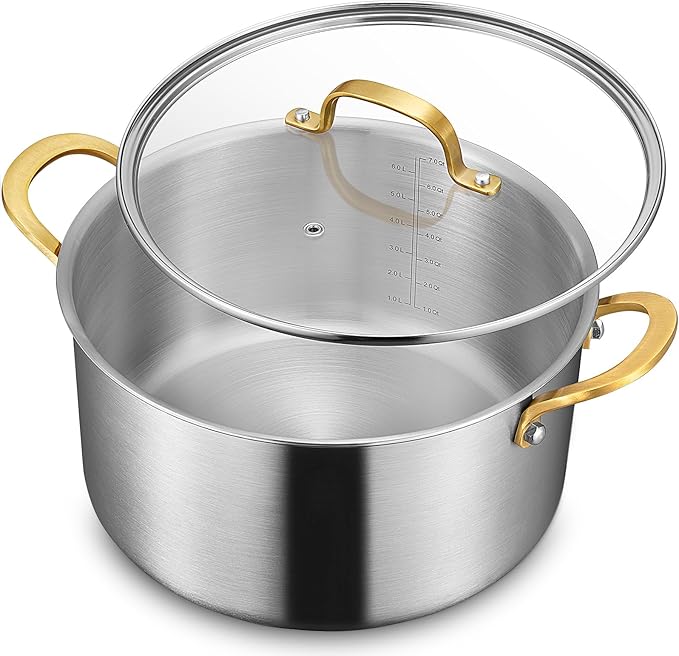 BEZIA 6 Quart 3-Ply Stainless Steel Stockpot, Soup Pot by BEZIA