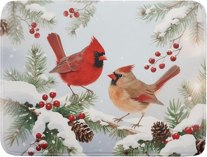 Winter Cardinal Bird Dish Drying Mat by Aytipun