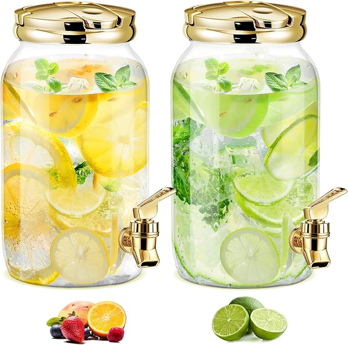 Havawish 2 Pcs 1 Gallon Plastic Beverage Dispenser by Havawish