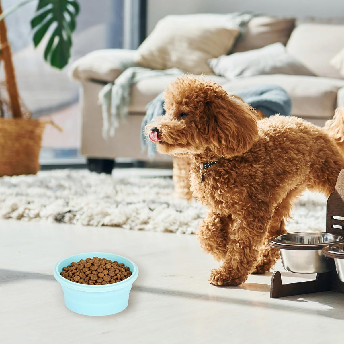 2pcs Collapsible Dog Bowls, Silicone Food & Water Travel Bowl with Lid