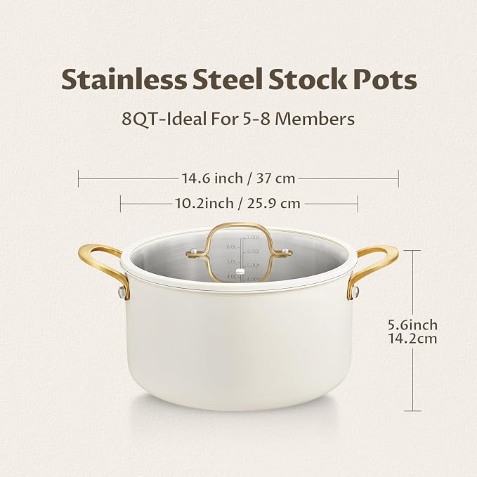 BEZIA 8 Quart Stainless Steel Stock Pot, Casserole - Image 8