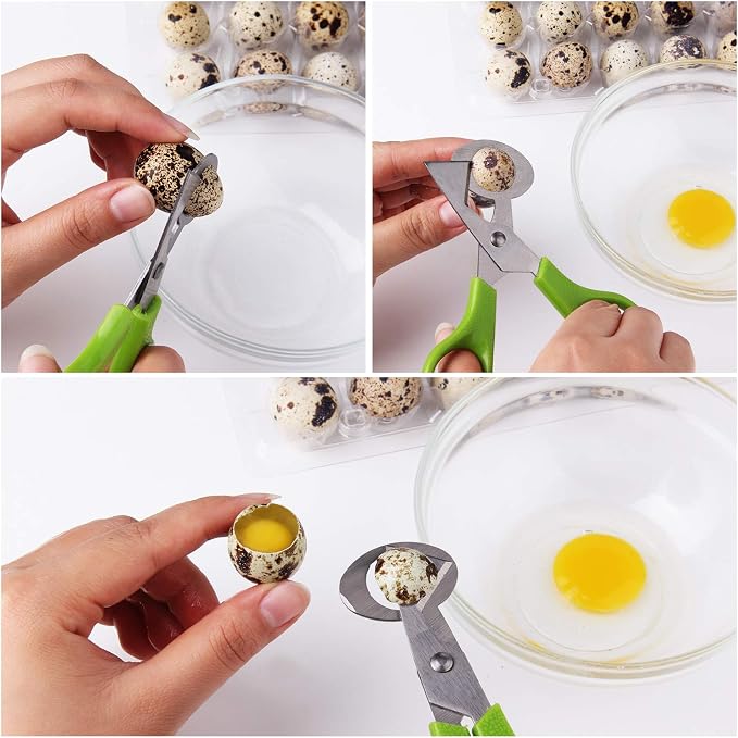 Calary 3Pcs Quail Egg Cutter Scissors Kitchen Egg Shears Tool - Image 5