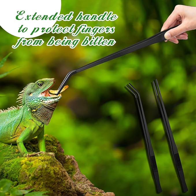 Lasnten 2 Pcs Extra Long Stainless Steel Reptile Feeding Tongs - Image 5