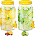Havawish 2 Pcs 1 Gallon Plastic Beverage Dispenser by Havawish