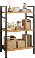 DUMOS 3 Tiers Bookshelf, Classical Book Shelf, Tall Display Shelves in Living by DumosLifestyle