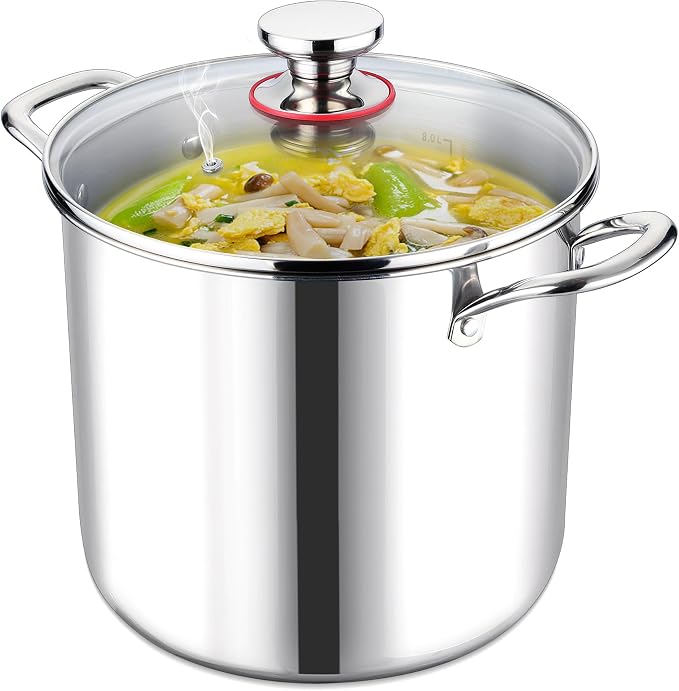 LIANYU 10 Quart Pot with Lid, 10QT Tri-Ply Heavy Duty Stock Pot, 18/10 by LIANYU