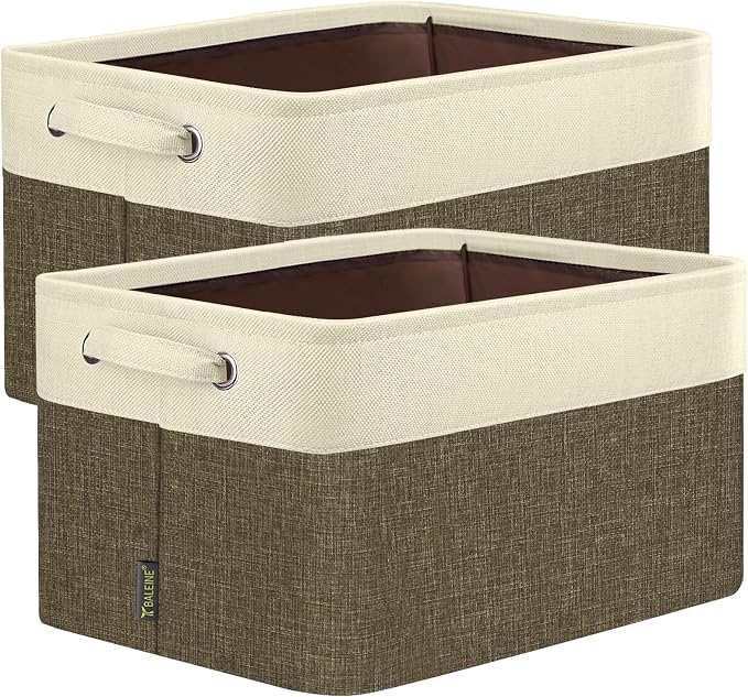 BALEINE 2 Pack Fabric Closet Storage Bins by BALEINE