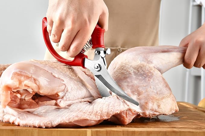 Heavy Duty Poultry Shears - Image 4
