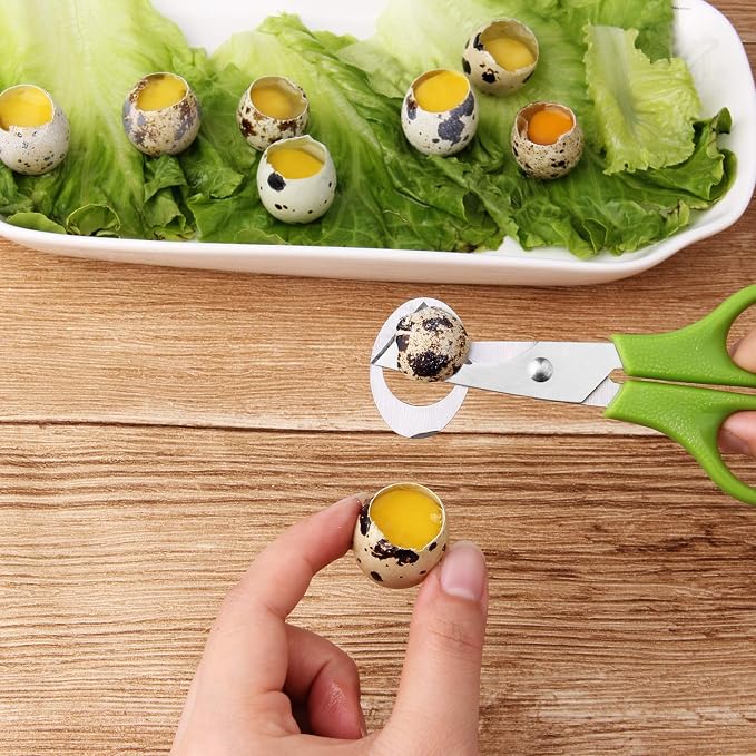 Calary 3Pcs Quail Egg Cutter Scissors Kitchen Egg Shears Tool - Image 6