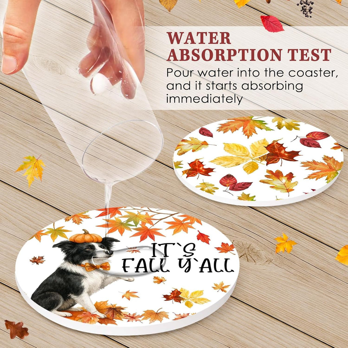 Fall Coasters for Drinks, Set of 6, Ceramic Stone Pumpkin Dog