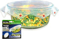 Microwave Spatter Screen, Non-Stick Mesh, Folds Flat, 13 Inch Splatter Guard by Smartwares