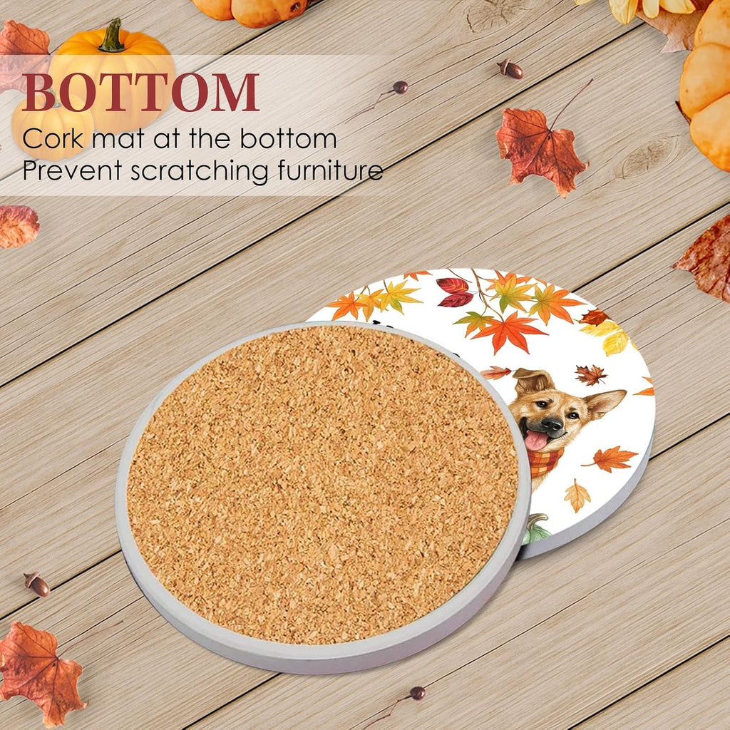 Fall Coasters for Drinks, Set of 6, Ceramic Stone Pumpkin Dog