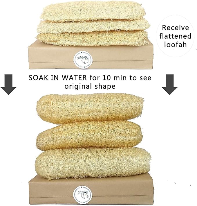 Natural Whole Loofah Sponge - Image 2