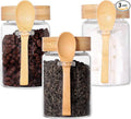 Glass Jar with Screw Lid and Spoon, 3 Pack 16 OZ Tea Containers by LEAVES+AND+TREES+Y
