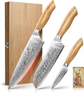 Emojoy Damascus Kitchen Knife Set, 67-Layers Damascus Knife by EMOJOY