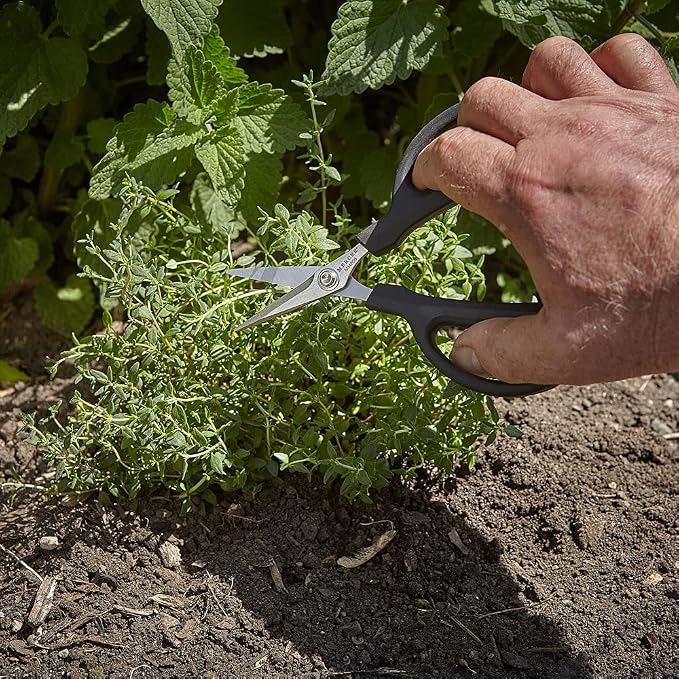 Mercer Culinary Herb Snips, 6 1/2-Inch - Image 5