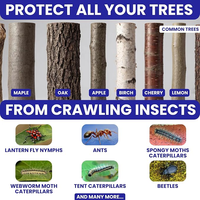 Spotted Lantern Fly Trap for Trees. 3 Sticky Fly Paper Rolls - Image 5