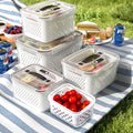5 Pack Large Fruit Storage Containers by Ronanemon