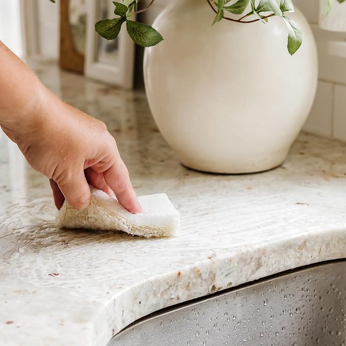 Full Circle Nutcase, Plant-Based Scrubber Sponges – Pack of 6 – 3 Walnut & 3 - Image 10