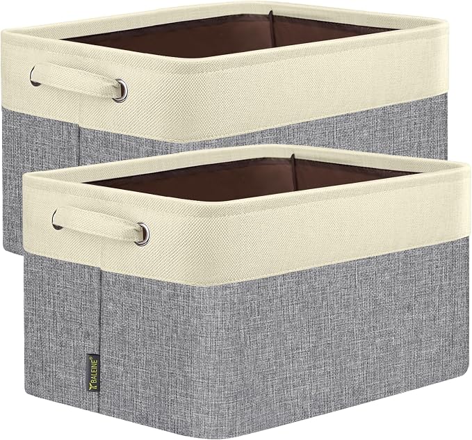 BALEINE 2 Pack Fabric Closet Storage Bins by BALEINE
