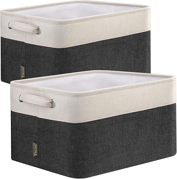 BALEINE 2 Pack Fabric Closet Storage Bins by BALEINE