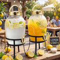 Havawish 2 Pack Drink Beverage Dispenser by Havawish