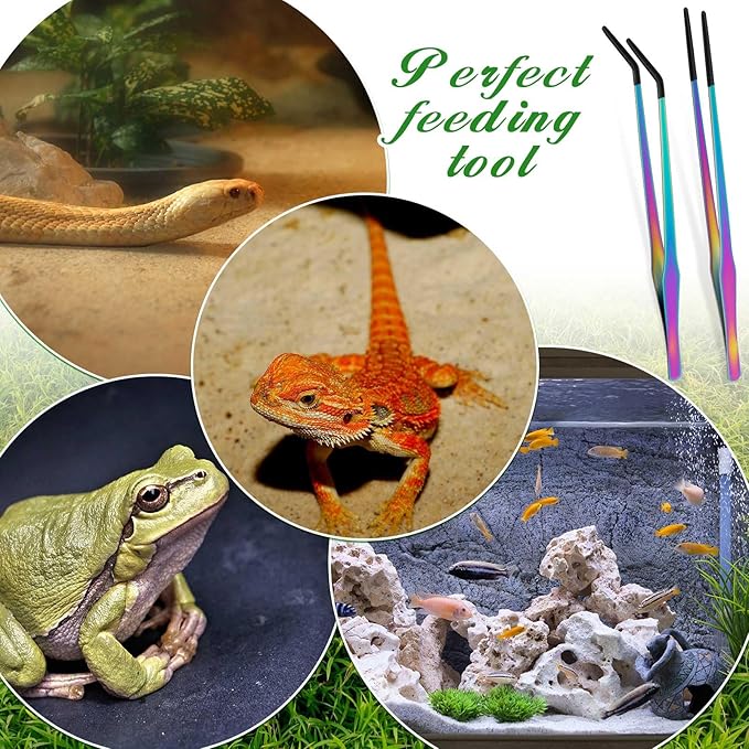 Lasnten 2 Pcs Extra Long Stainless Steel Reptile Feeding Tongs - Image 6