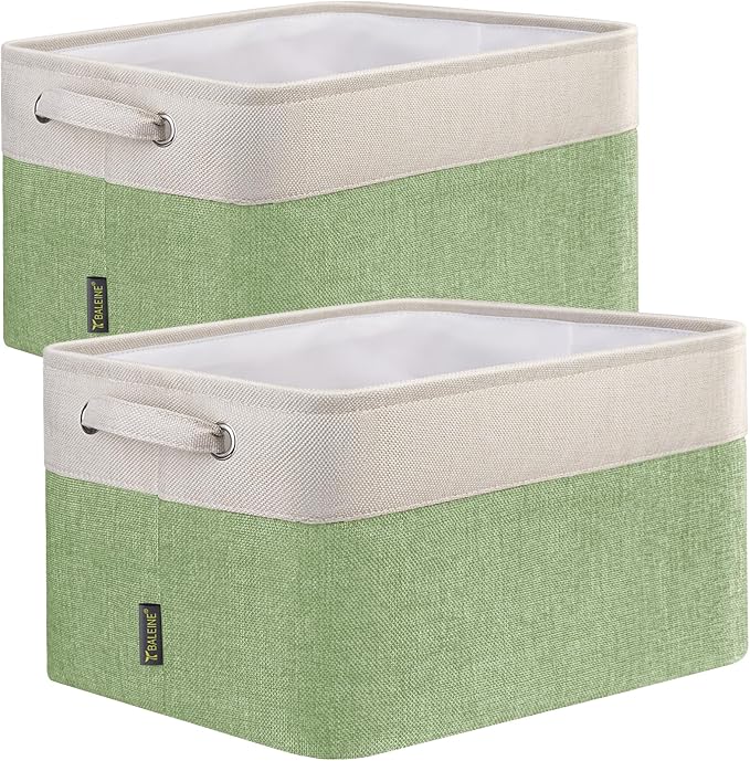 BALEINE 2 Pack Fabric Closet Storage Bins by BALEINE