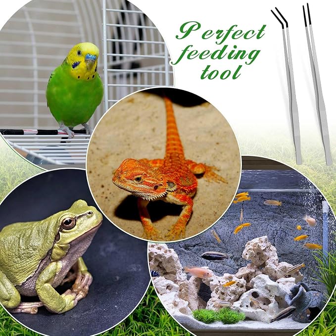 Lasnten 2 Pcs Extra Long Stainless Steel Reptile Feeding Tongs - Image 7
