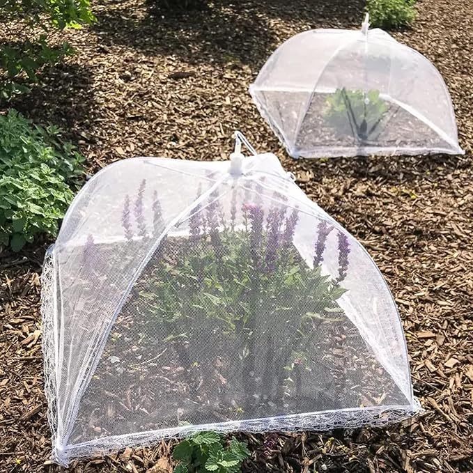 Simply Genius Pop-Up Outdoor Food Covers to Keep Bugs Away - Image 5